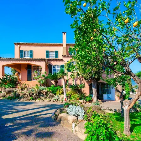 La Cicaliera 10, Emma Санремо